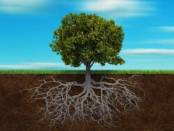 Our Inner Advantage in an Unsettling World
