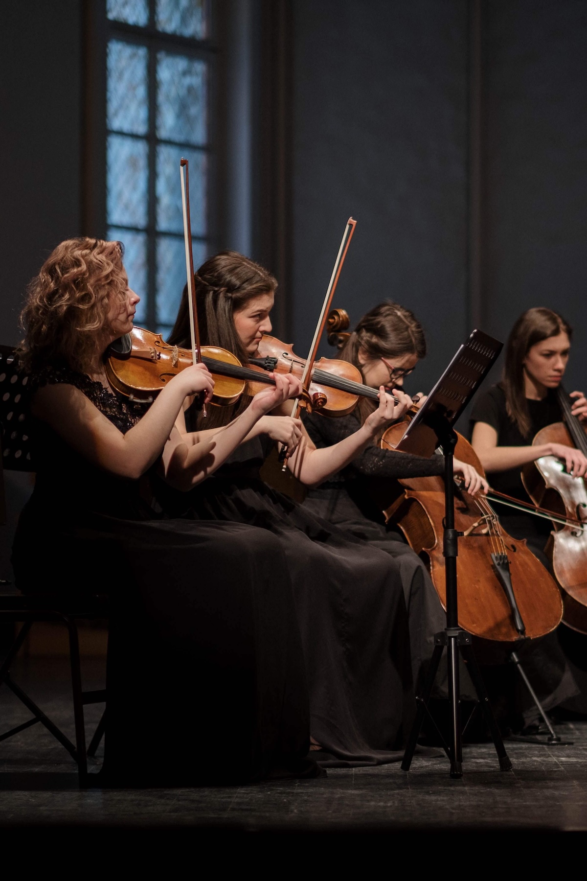 Music and The Musician Photo