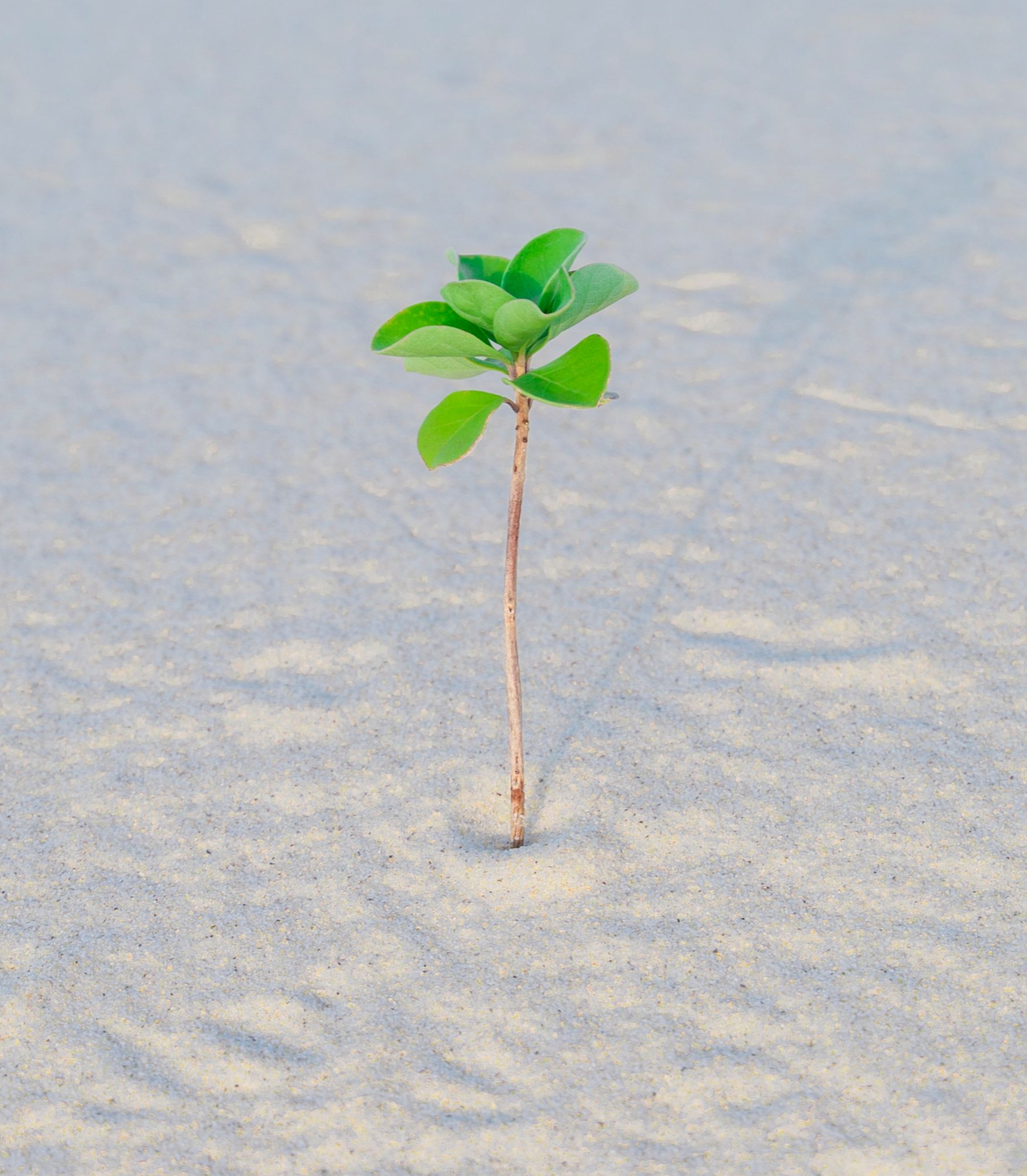 Resilience